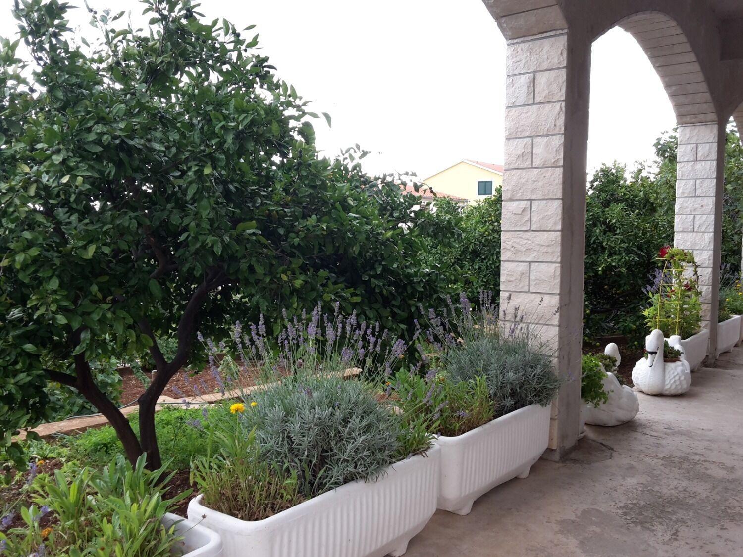Apartments Josi - Parking And Barbecue Grebastica Exterior photo